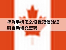 华为手机怎么设置短信验证码自动填充密码