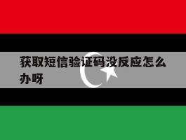 获取短信验证码没反应怎么办呀
