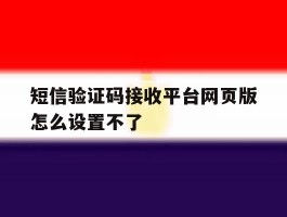 短信验证码接收平台网页版怎么设置不了