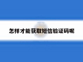 怎样才能获取短信验证码呢