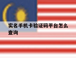 实名手机卡验证码平台怎么查询