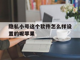 隐私小号这个软件怎么样设置的呢苹果