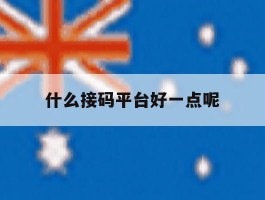 什么接码平台好一点呢