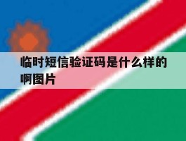 临时短信验证码是什么样的啊图片