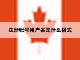 注册账号用户名是什么格式