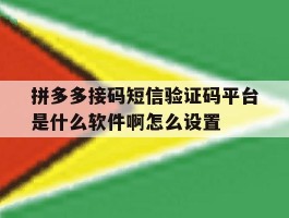关于拼多多接码短信验证码平台是什么软件啊怎么设置的信息