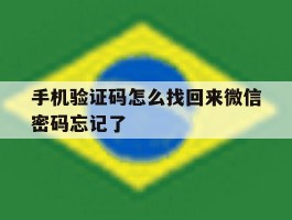 手机验证码怎么找回来微信密码忘记了