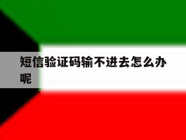 短信验证码输不进去怎么办呢
