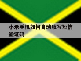 小米手机如何自动填写短信验证码