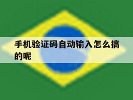 手机验证码自动输入怎么搞的呢