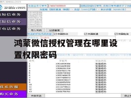 鸿蒙微信授权管理在哪里设置权限密码