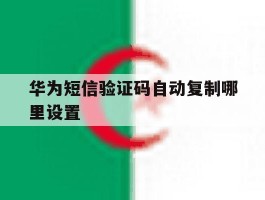 华为短信验证码自动复制哪里设置