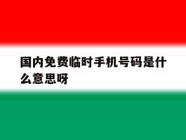 包含国内免费临时手机号码是什么意思呀的词条