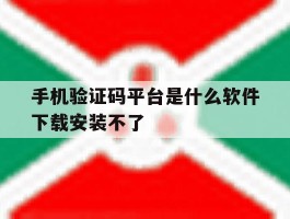 手机验证码平台是什么软件下载安装不了