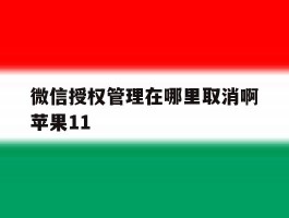 微信授权管理在哪里取消啊苹果11