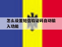 怎么设置短信验证码自动输入功能