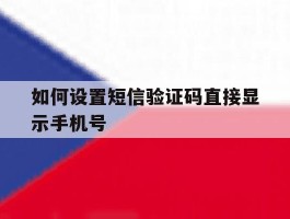 如何设置短信验证码直接显示手机号