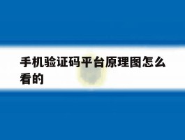 手机验证码平台原理图怎么看的