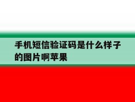 手机短信验证码是什么样子的图片啊苹果