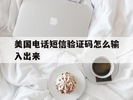 美国电话短信验证码怎么输入出来
