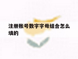 注册账号数字字母组合怎么填的