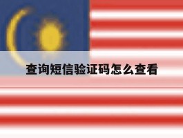 查询短信验证码怎么查看