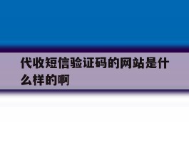代收短信验证码的网站是什么样的啊