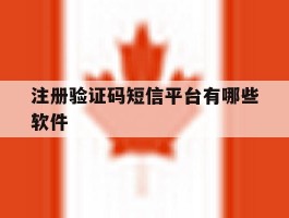 注册验证码短信平台有哪些软件