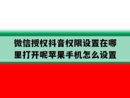 包含微信授权抖音权限设置在哪里打开呢苹果手机怎么设置的词条