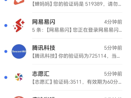 短信验证码失败什么意思啊