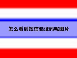 怎么看到短信验证码呢图片