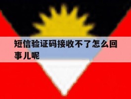 短信验证码接收不了怎么回事儿呢