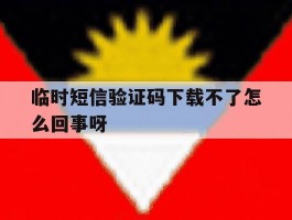 临时短信验证码下载不了怎么回事呀