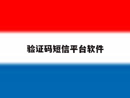 验证码短信平台软件