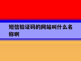 短信验证码的网站叫什么名称啊