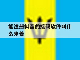 能注册抖音的接码软件叫什么来着
