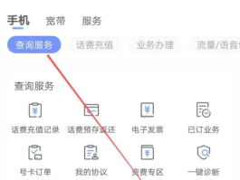 临时短信手机号码怎么查询话费余额