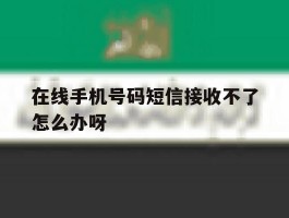 在线手机号码短信接收不了怎么办呀