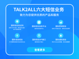 美国的验证码接收平台叫什么名字来着