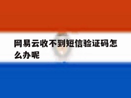 网易云收不到短信验证码怎么办呢