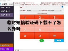 临时短信验证码下载不了怎么办呀
