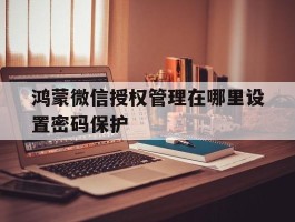 鸿蒙微信授权管理在哪里设置密码保护