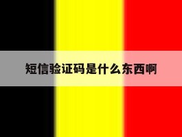 短信验证码是什么东西啊
