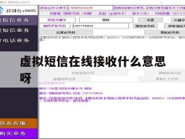 虚拟短信在线接收什么意思呀