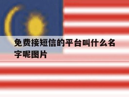 免费接短信的平台叫什么名字呢图片