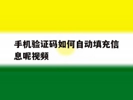 手机验证码如何自动填充信息呢视频