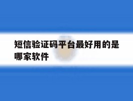 短信验证码平台最好用的是哪家软件