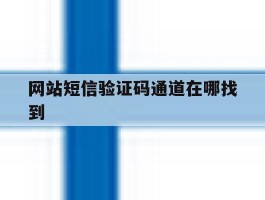 网站短信验证码通道在哪找到