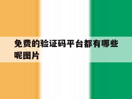 免费的验证码平台都有哪些呢图片