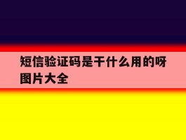 短信验证码是干什么用的呀图片大全